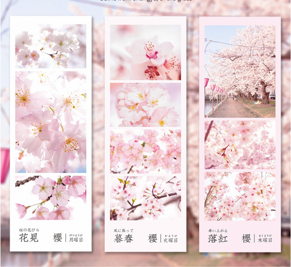 Spring Cherry Blossom Hanami Deco Stickers