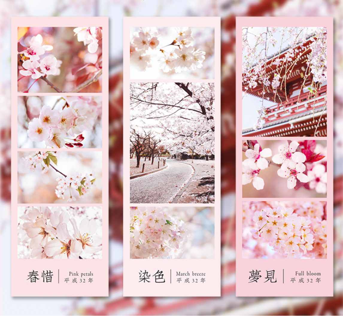 Spring Cherry Blossom Hanami Deco Stickers – Kawaii Stationery Shop