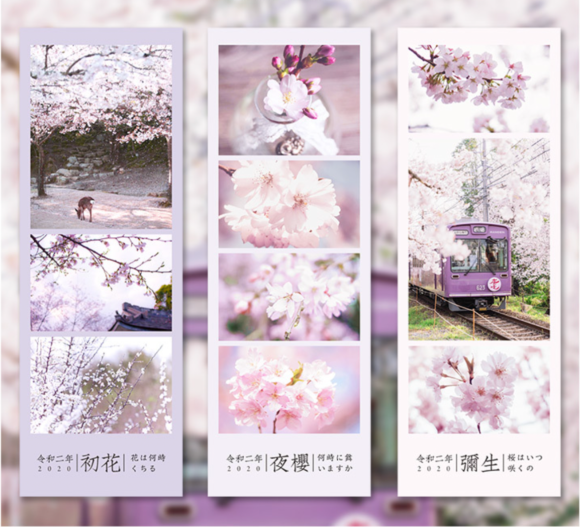 Spring Cherry Blossom Hanami Deco Stickers – Kawaii Stationery Shop