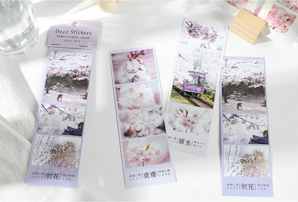 Spring Cherry Blossom Hanami Deco Stickers
