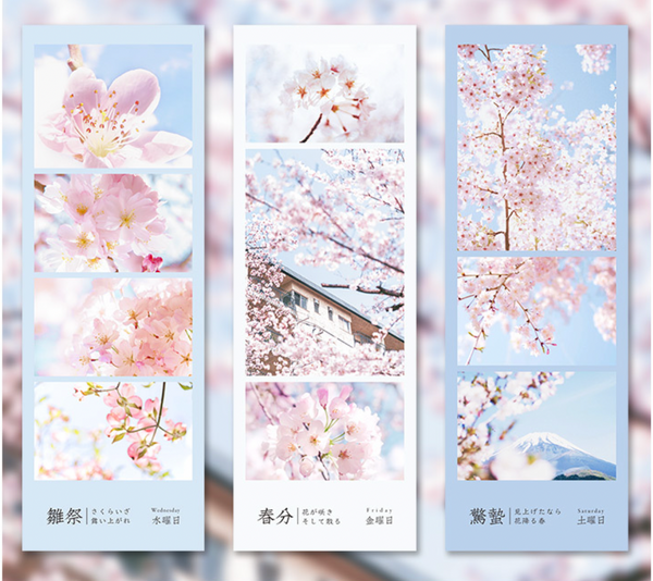 Spring Cherry Blossom Hanami Deco Stickers