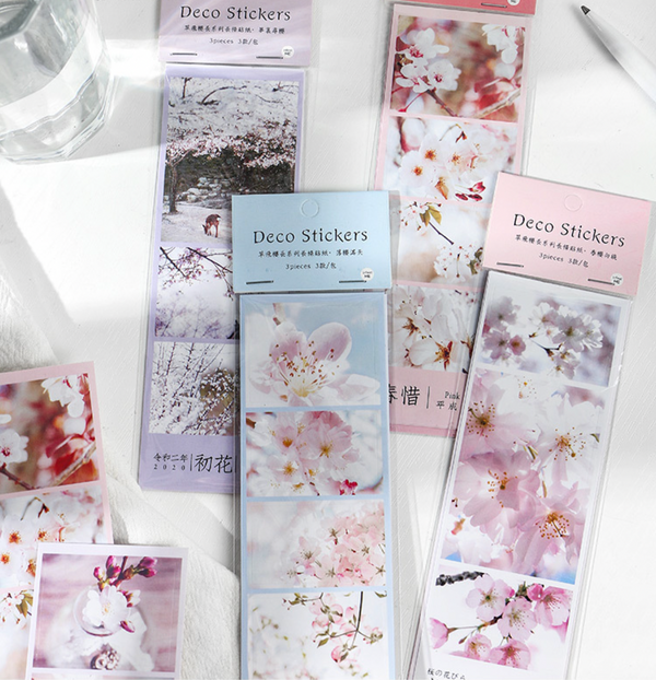 Spring Cherry Blossom Hanami Deco Stickers