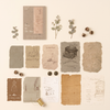 Vintage Botanical Collage Papers